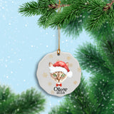 Personalized Cat Christmas Ornament